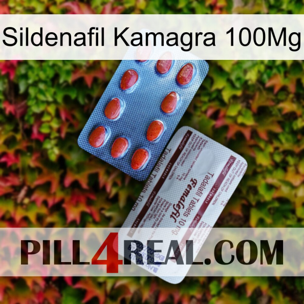 Sildenafil Kamagra 100Mg 36.jpg